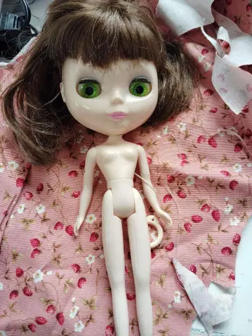 네오 브라이스 인형 본체 타카라토미