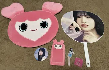 TWICE 허벅지 굿즈