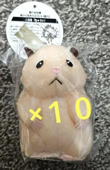 스쿠로쿠의 일상 마스코트 봉제 인형 스쿠로쿠 새상품 10개 세트 송한빈