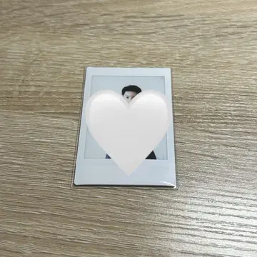 하세가와 신 폴라로이드
