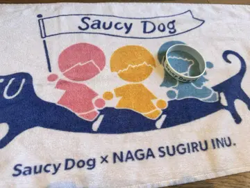 Saucy Dog 타월과 러버 밴드 세트