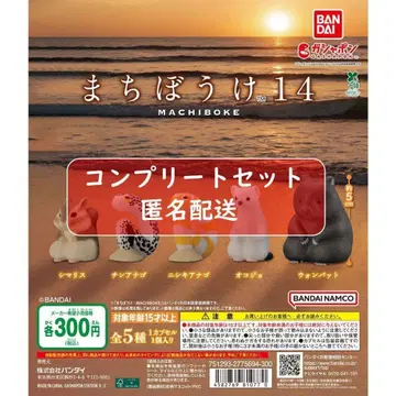 기다림 14 전 5종 세트 가챠