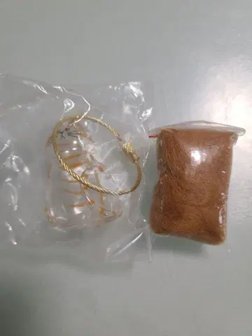 우리 아이의 케다마다마 브라운 가챠가챠 시프라