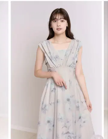 암부아즈 모인 플레어 드레스