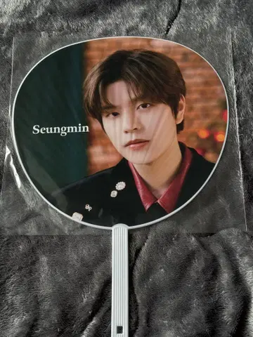 straykids 승민 부채
