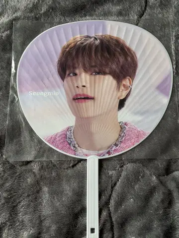 straykids 승민 부채