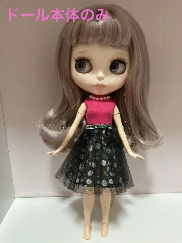 커스텀 아이시 인형 본체만