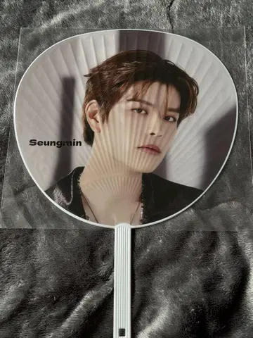 straykids 승민 부채