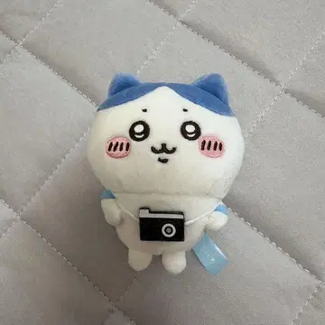 하치와레 키링