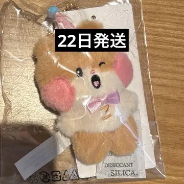 popup zb1 zeroni 미니 봉제 인형 키링 한빈 비니니