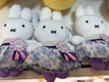 하우스텐보스 나인체 셀레브레이션 미피 마스코트 3개 세트