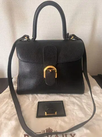 델보 브리옹