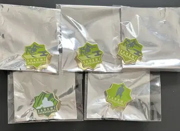 귀멸의 칼날 기둥 전 컬렉션 핀즈 시나즈가와 사네미