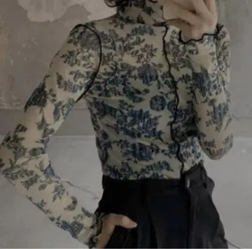 litmus 스킨 상의