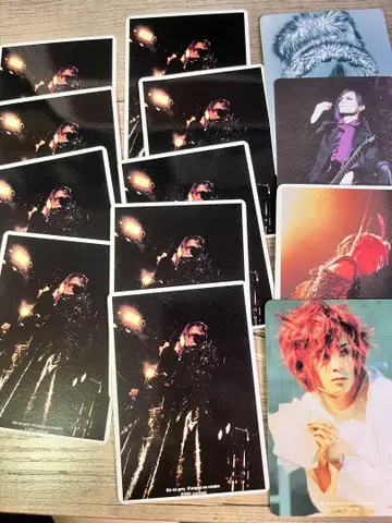 DIR EN GREY 트레이딩 카드 카오루 13장 세트 초기