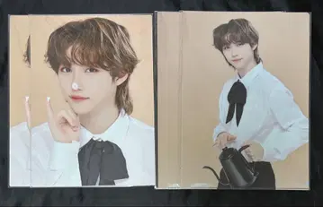 straykids 필릭스 스키즈 카페 미니 포스터 파일 세트 2