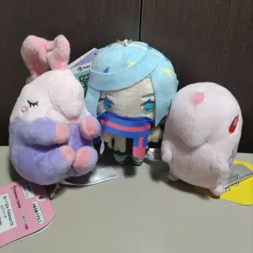 Pokemonfit PokemonTrainers 택 포함 3개 세트