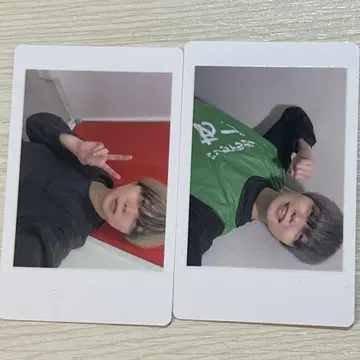 팬더 드래곤 아즈 하피카
