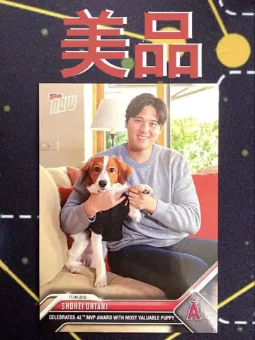 SHOHEI OHTANI AL MVP 트레이딩 카드