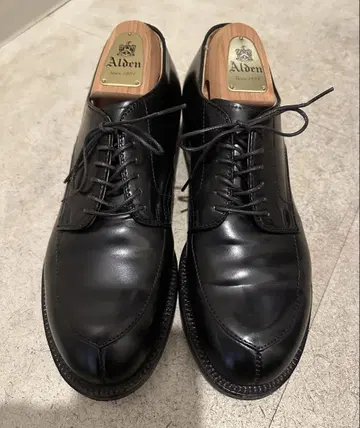 알든 V 칩 블랙 새상품