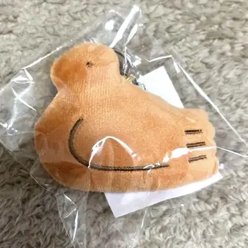 가마쿠라 토요시마야 본점 한정판 비둘기 홀더 비둘기 사브레