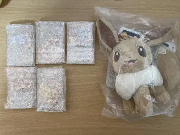포켓몬 제일복권 판타지 옷장 D상 E상 F상