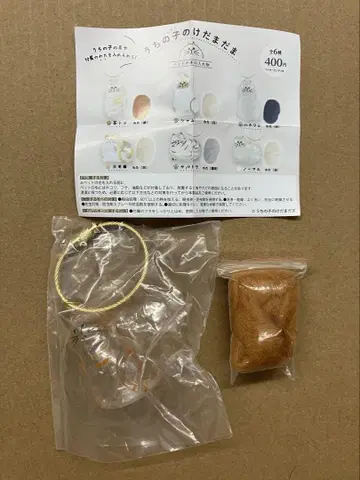 우리 아이의 털뭉치, 브라운