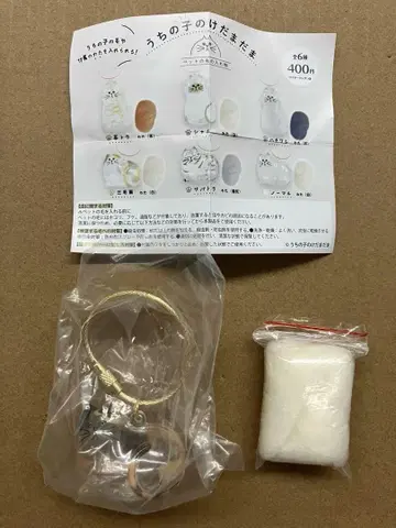 우리 아이의 털뭉치, 삼색 고양이