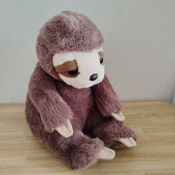 오키나와 DMM 수족관 나무늘보 봉제 인형