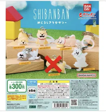 메지루시 액세서리 시반반 5종 세트