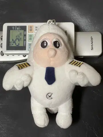 중국국제항공 비행기 봉제 인형 CA 18cm 정도입니다.