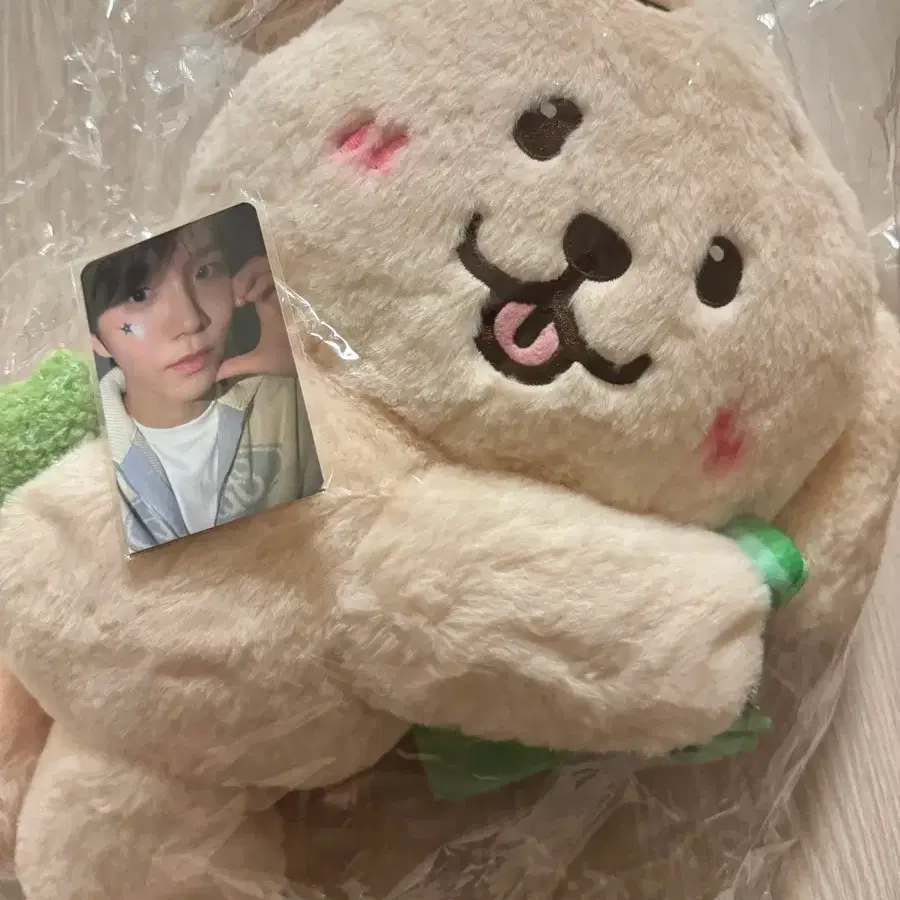 Sealed] NCT WISH Wishdoll Daengtriever Bag with Poca on Bunjang