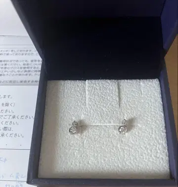 반돔 아오야마 pt 다이아 귀걸이