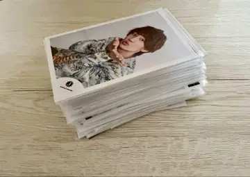 나니와 단시 후지와라 죠이치로 브로마이드 세트