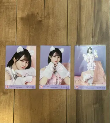 사사키 마이카 7주년 고양이 의상 브로마이드 컴프