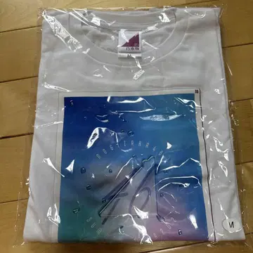 노기자카46 한여름의 전국 투어 2021 티셔츠 M 사이즈