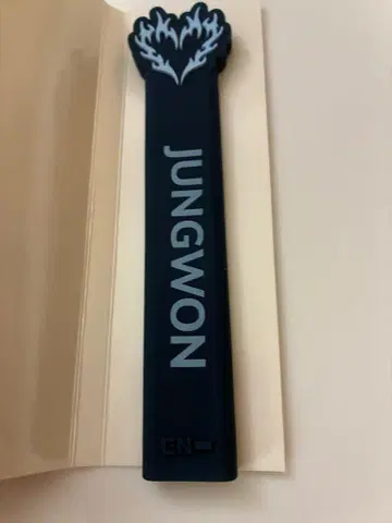 ENHYPEN 팝업 그립 정원