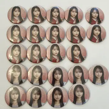 하지리코 하야리 캔뱃지 23개