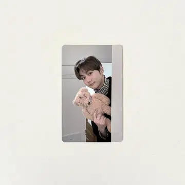 enhypen 정원 트레이딩 카드 곰