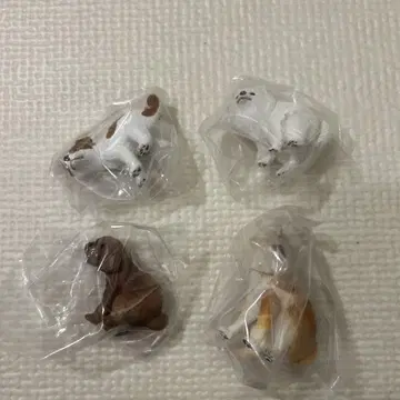 훈마리누 세트 토이 푸들&잭 러셀 테리어&포메라니안&시바견