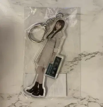 노기자카46 야다 모에 아크릴 키링