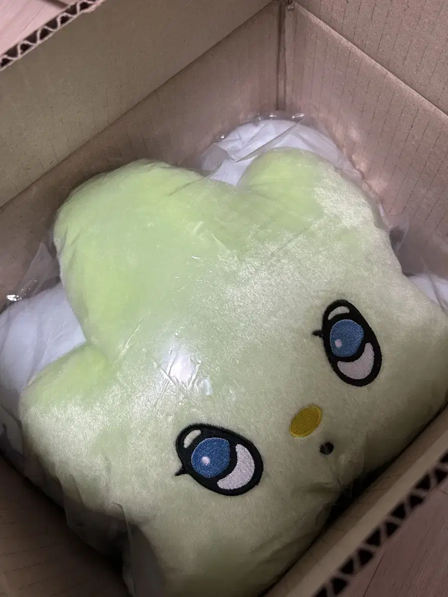 [In Stock] NCT WISH Nct Wish wichu cushion Chuu Cushion