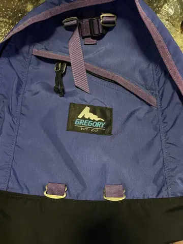 새상품 그레고리 40주년 한정판 모델 블루 레터 파랑 택 데이팩 25l