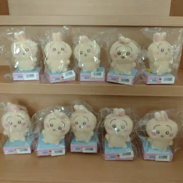 치이카와 피타레스토 포테모후 시리즈 vol.2 토끼 10개 세트