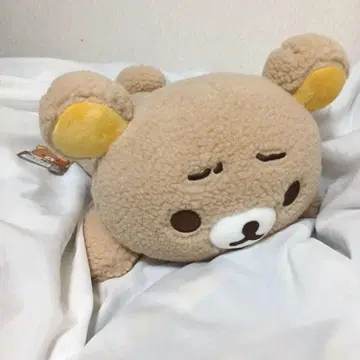 리락쿠마 스토어 한정판 모코모코 마리모 눈썹 봉제 인형