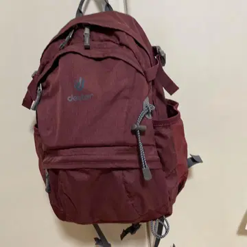 도이터 20리터 백팩