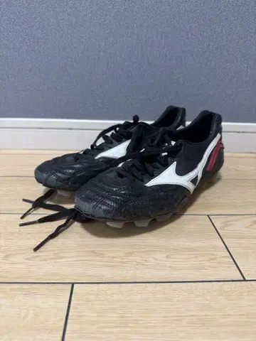 Mizuno 모레리아 웨이브