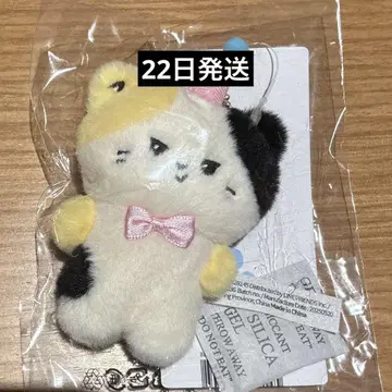 popup zb1 zeroni 미니 봉제 인형 키링 리키 리니니