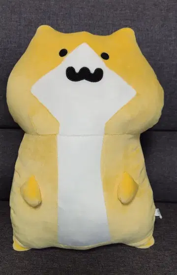 문구와 함께 쫄깃쫄깃 봉제 인형 XL 프리미엄 새끼 고양이