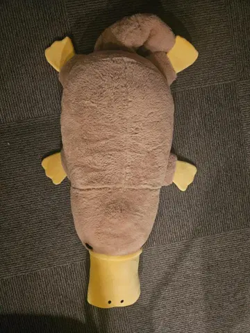 카모나시 봉제 인형 빅